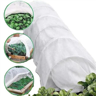 অ বোনা উদ্ভিদ কভার